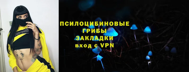 блэк спрут маркетплейс  Чкаловск  Псилоцибиновые грибы мухоморы 